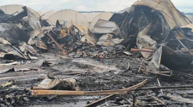 5'i çoçuk 6 kişi yaşamını yitirdi