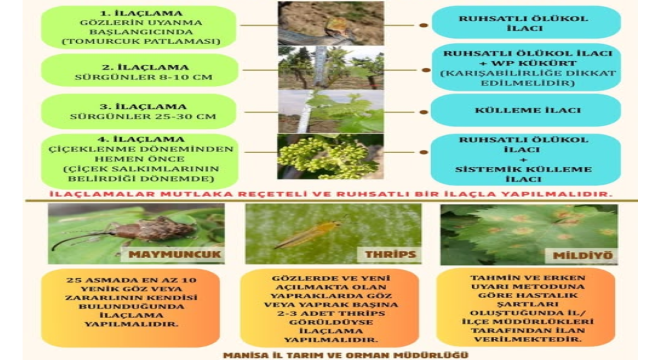 Bağlarda çiçek öncesi dönem mücadele proğramı