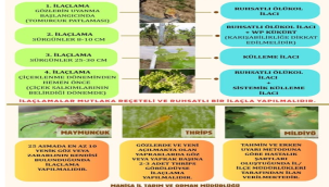 Bağlarda çiçek öncesi dönem mücadele proğramı