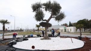 Didim'i estetik görünüme kavuşturma çalışmaları sürüyor