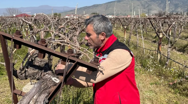 Ekipler bağlarda hastalık ve zararlı kontrollerine başladı 
