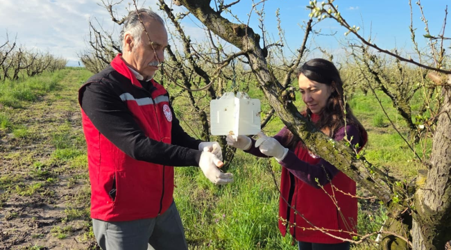 Ekipler Tekeliler ve Karaoğlanlı'da arı zararlısı için tuzaklar kurdu