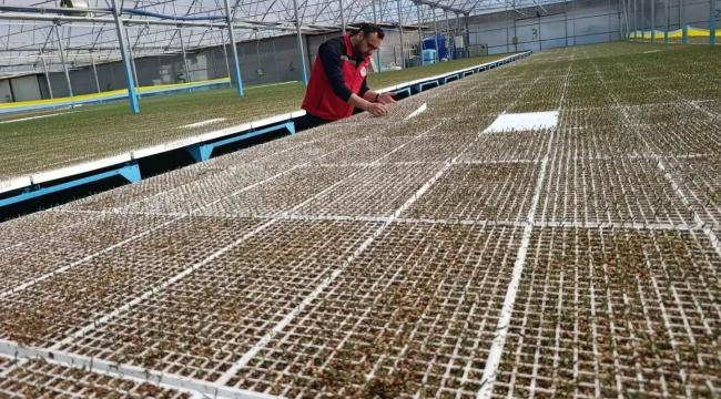 Fide ekim sezonu başladı