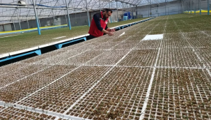 Fide ekim sezonu başladı