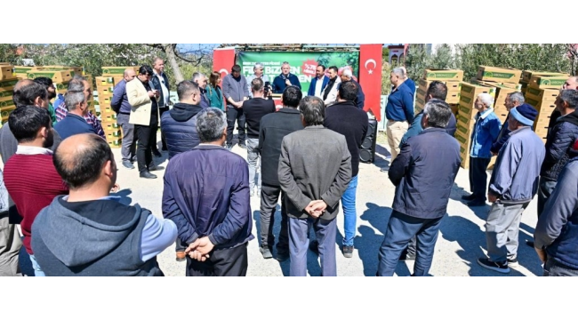 Gördes'te üreticilerin yüzünü güldüren 73 bin domates fidesi dağıtıldı