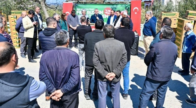 Gördes'te üreticilerin yüzünü güldüren 73 bin domates fidesi dağıtıldı