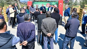 Gördes'te üreticilerin yüzünü güldüren 73 bin domates fidesi dağıtıldı