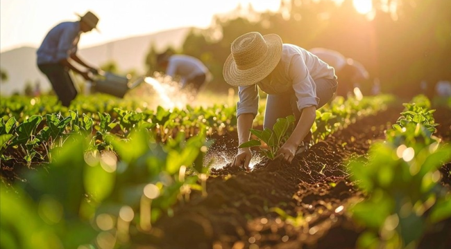 Gübre ham maddesi üre için ithalatta gümrük vergisi sıfırlandı