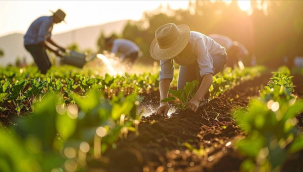 Gübre ham maddesi üre için ithalatta gümrük vergisi sıfırlandı