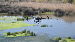 İnsan sağlığını tehdit eden zararlılarla dronla mücadele