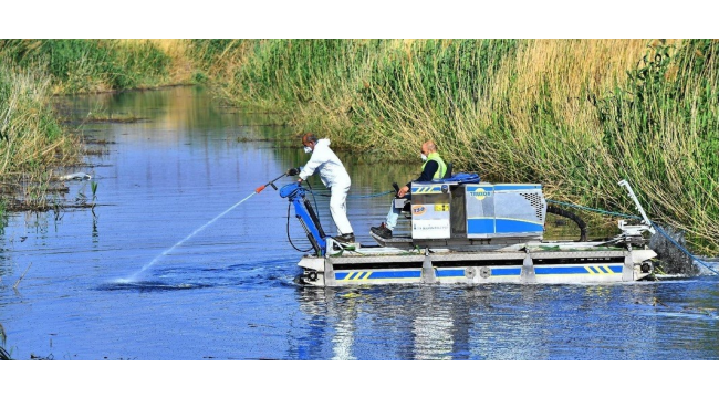 İzmir'de vektörlerle mücadele modern yöntemlerle sürüyor