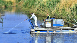 İzmir'de vektörlerle mücadele modern yöntemlerle sürüyor