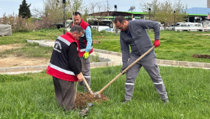 Alaşehir'de parklarda bahar hazırlığı