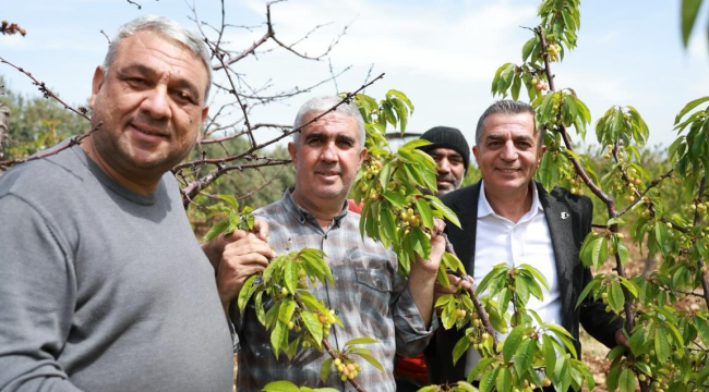 Başkan Şimşek hasat öncesi kiraz üreticileriyle bir araya geldi