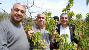 Başkan Şimşek hasat öncesi kiraz üreticileriyle bir araya geldi