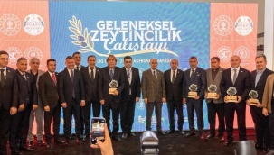 Çalıştayda zeytinciliğin korunması önerildi