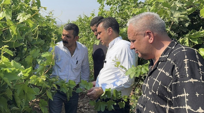 CHP'li Başevirgen''hükümet çiftçiyi görmüyor, duymuyor''