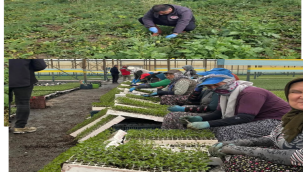 Ekiplerin tarın alanlarında denetimleri sürüyor