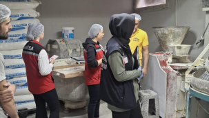 Gıda işletmelerinde ortak denetim