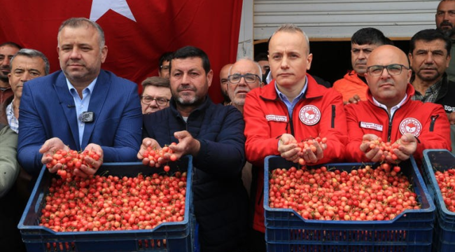 Manisa'da 2026 yılının ilk kiraz hasadı yapıldı