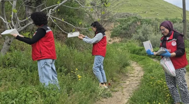 Meyve üretim alanlarına Akdeniz meyve sineği tuzakları asıldı.
