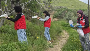 Meyve üretim alanlarına Akdeniz meyve sineği tuzakları asıldı.