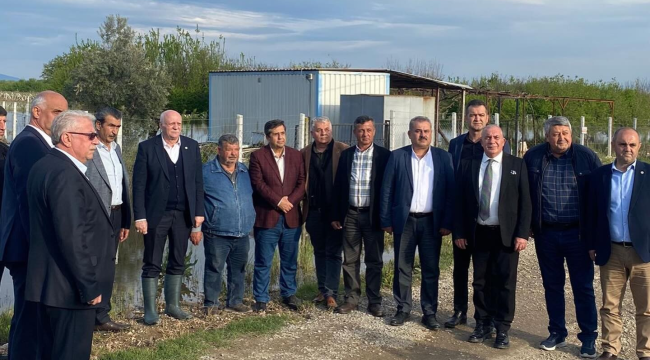 Oda başkanları zarar gören tarım alanlarında incelemelerde bulundu