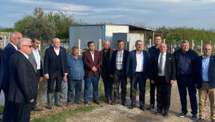 Oda başkanları zarar gören tarım alanlarında incelemelerde bulundu