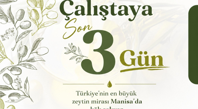 Ağaçtan sofraya zeytin çalıştayı başlıyor