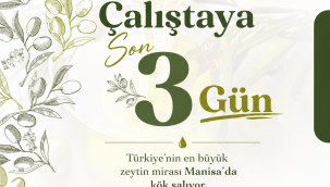 Ağaçtan sofraya zeytin çalıştayı başlıyor