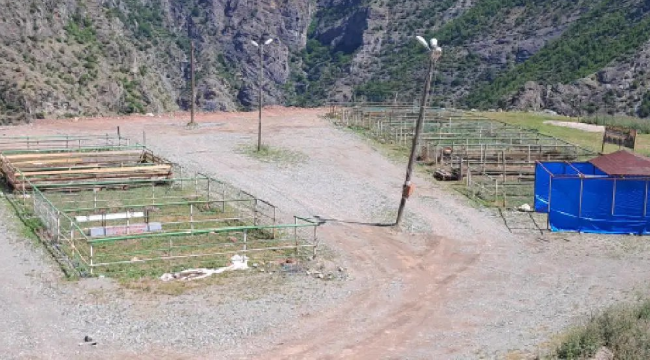 Artvin'de kurban pazarı boş kaldı: Ne satıcı var ne de alıcı
