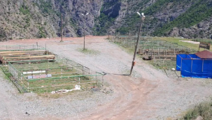 Artvin'de kurban pazarı boş kaldı: Ne satıcı var ne de alıcı