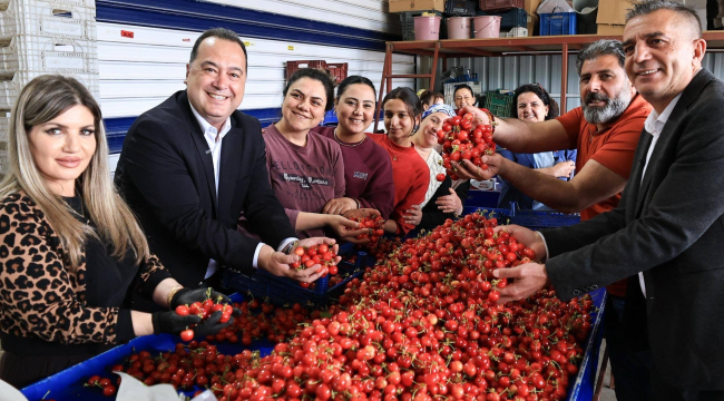 Başkanlar kiraz pazarını gezdi