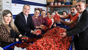 Başkanlar kiraz pazarını gezdi