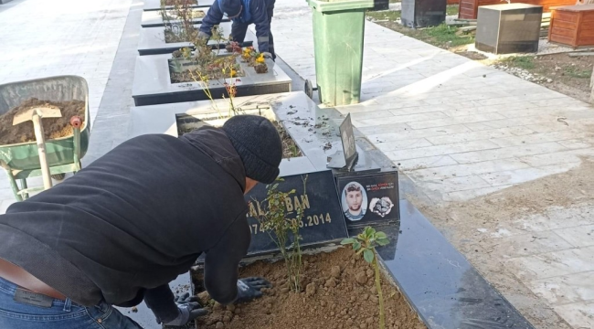 Büyükşehir belediyesi 17 ilçede kabir temizliği başlattı