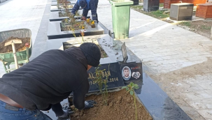 Büyükşehir belediyesi 17 ilçede kabir temizliği başlattı
