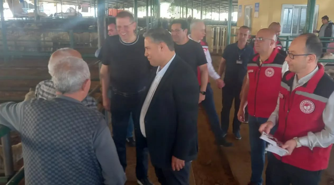 Müdür Karayılan hayvan pazarını gezdi