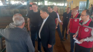Müdür Karayılan hayvan pazarını gezdi