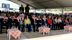 Uluslararası 12.Urla enginar festivali başladı