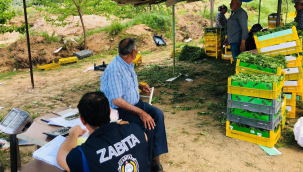 Zabıta ekipleri yaprak satış yerlerinde denetim