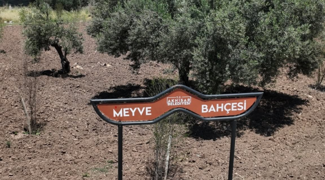 Belediye meyve bahçeleri yeşeriyor