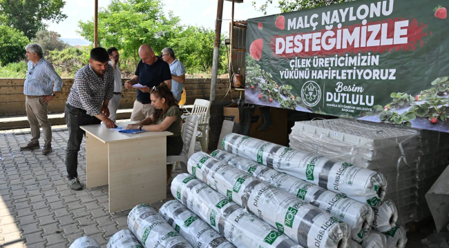 Çilek üreticilerine naylon desteği