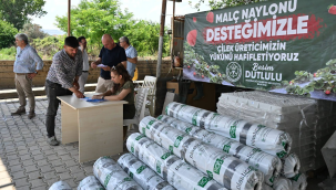 Çilek üreticilerine naylon desteği
