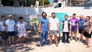 Didim'de caretta carettaların yuvaları koruma altına alındı