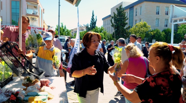 Didim'de vatandaşlara ücretsiz fide dağıtıldı