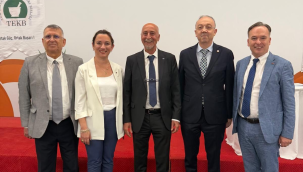 Eczacı Duygu Elmas Mutlu, bir kez daha denetleme kurulu üyeliğine seçildi