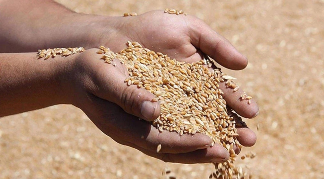 Fiyatlar üreticinin beklentisi altında kaldı
