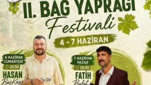 Gölmarmara'da festival coşkusu başlıyor