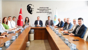 Koordinasyon toplatışı