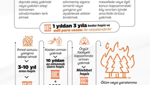 Oman yangınları suç ve cezaları